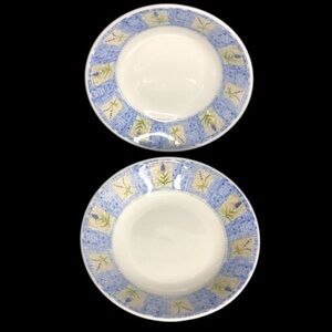 2 Pier 1 Angleterre Hydrangea England 7 7/8” Pasta Bowls lightly used